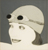 Swimmer